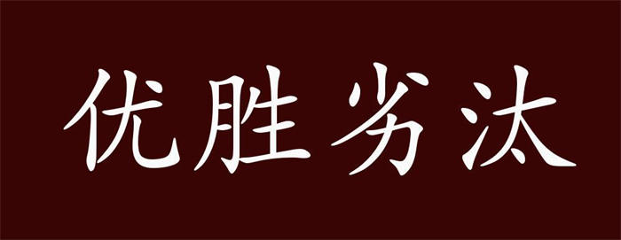 冬天来了，春天还会远吗？松鼠智库-松鼠智库