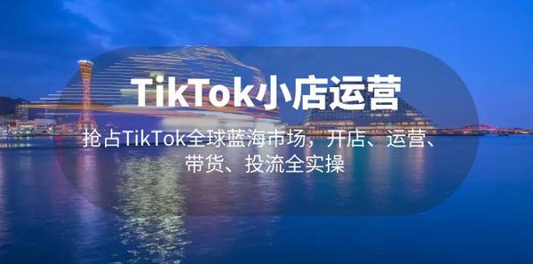 TikTok小店运营 抢占TikTok全球蓝海市场，开店、运营、带货、投流全实操松鼠智库-松鼠智库