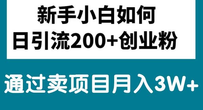 新手小白日引流200+创业粉,通过卖项目月入3W+松鼠智库-松鼠智库